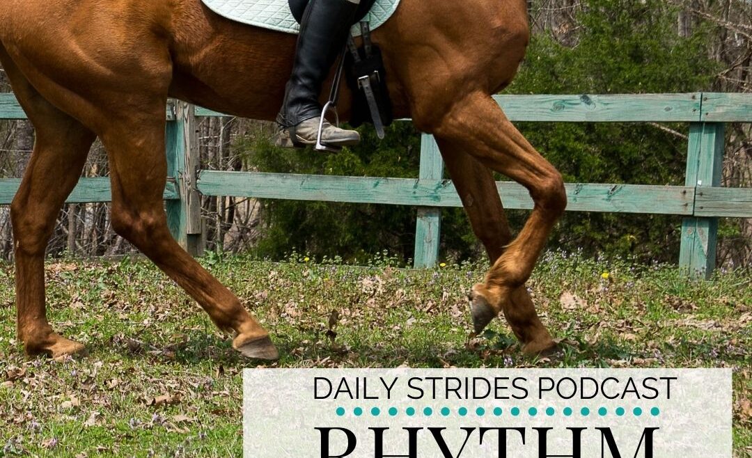 Rhythm; Learning to Identify and Develop it in the Canter