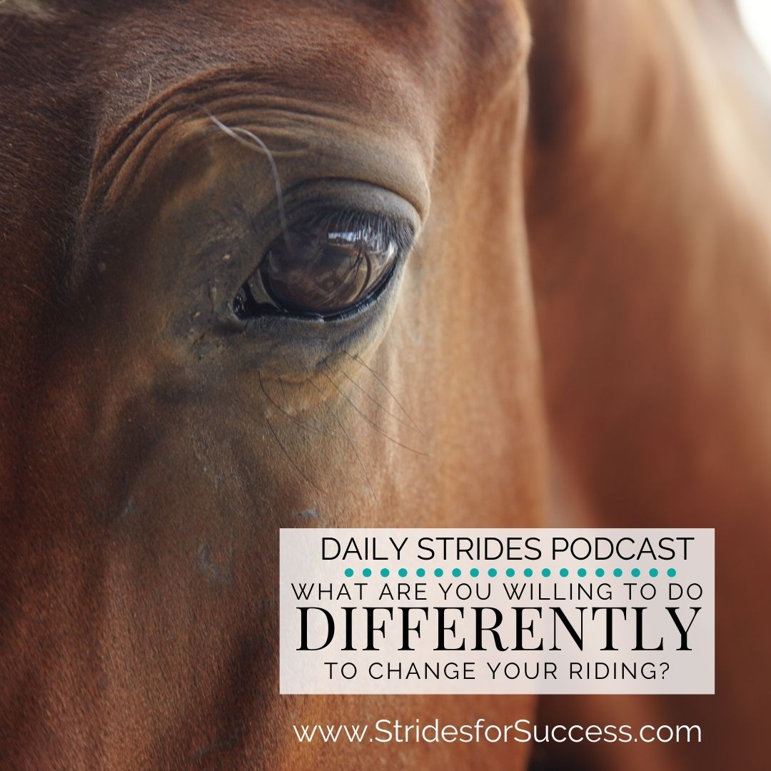 What Are You Willing to Do Differently As a Rider?