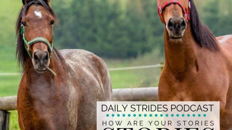 How Your Stories are Influencing Your Horse Riding