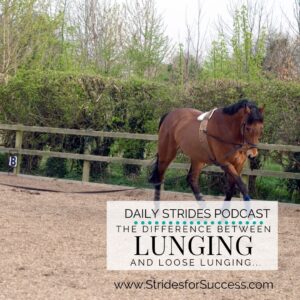 The difference between lunging and loose lunging