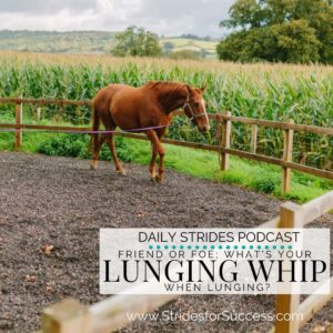 Friend or Foe; Your Lunging Whip when You Lunge Your Horse