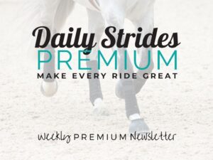 Daily Strides Premium Newsletter