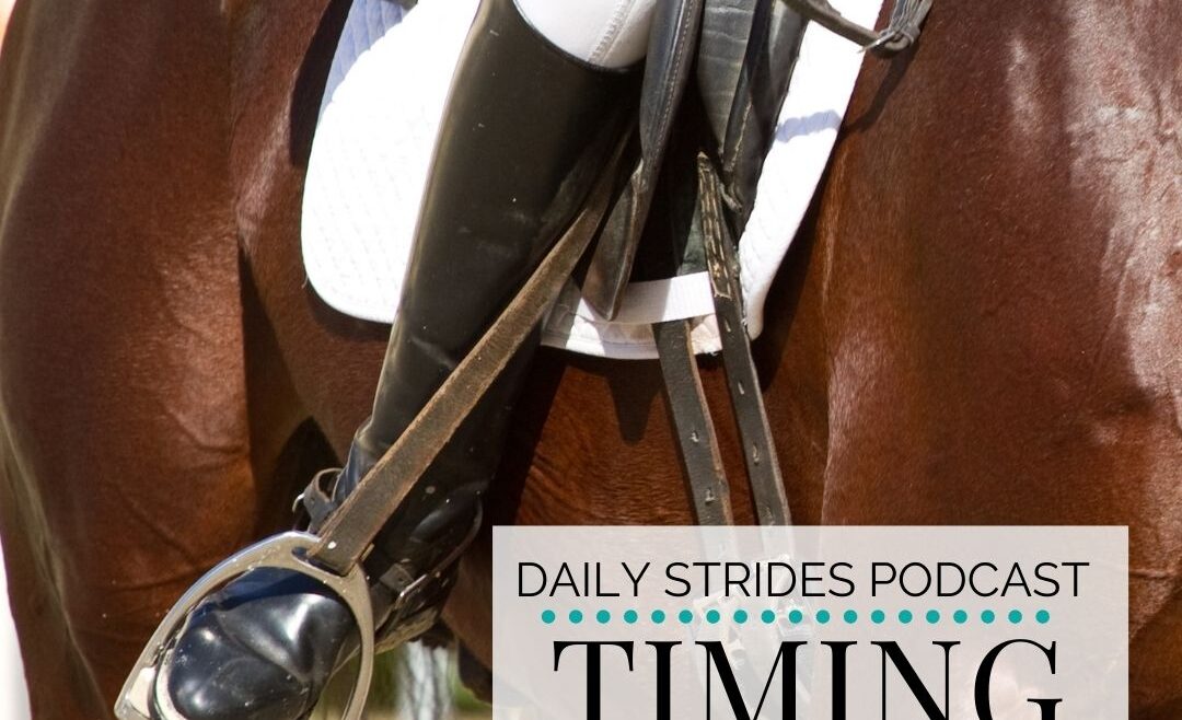 Timing Your Transitions into Canter