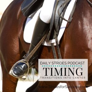 Timing Your Transitions into Canter
