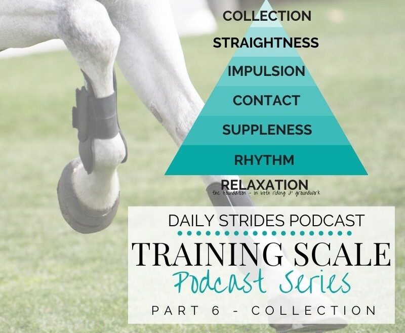 Training Scale - Part 6 - Collection; Today?