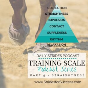 Training Scale - Part 5 - Developing Straightness