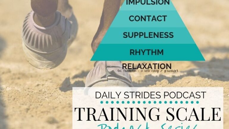 [Training Scale Series] Part 5 – Developing True Straightness