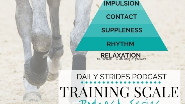 [Training Scale Series] Part 4 – Creating True Impulsion