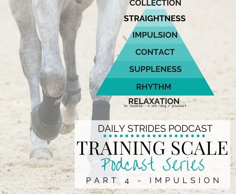 Training Scale - Part 4 - How Self Carriage Leads to Impulsion
