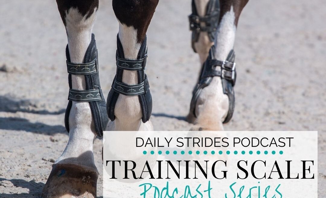 Training Scale Podcast Series - Part 2 Suppleness