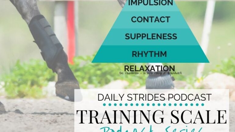 [Training Scale Series] Part 3 – Contact in Your Riding