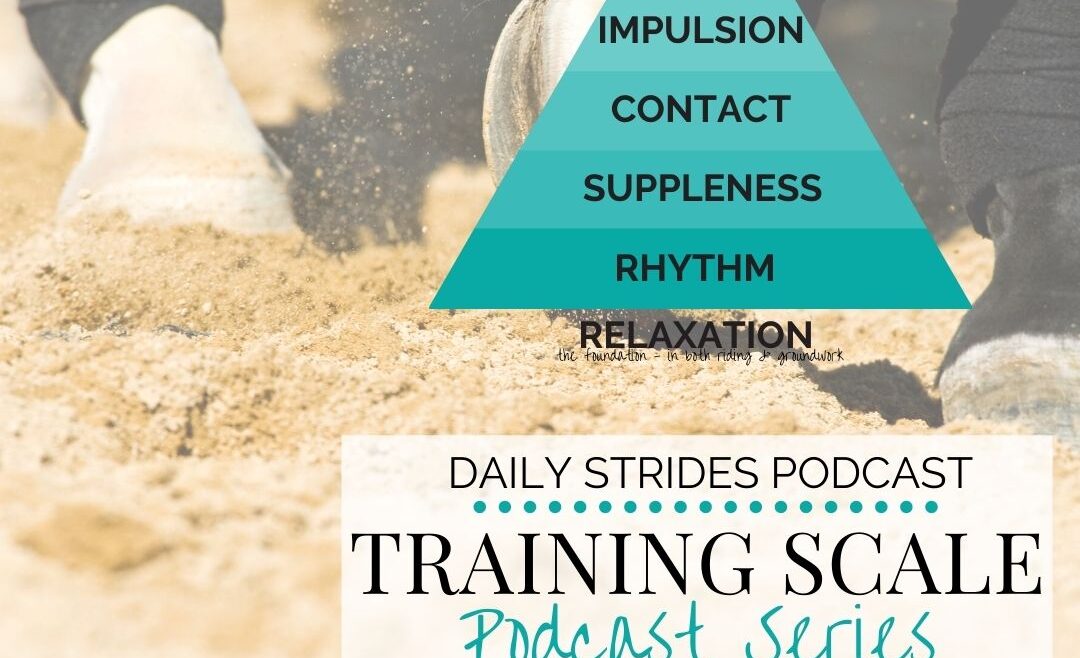 Training Scale Series - What is Good Rhythm?