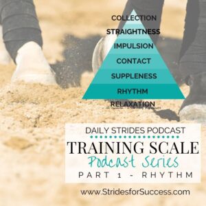Training Scale Series - What is Good Rhythm?