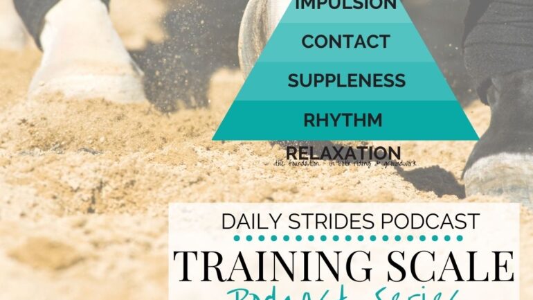[Training Scale] Part 1 – Finding Rhythm in Your Training