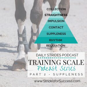 Training Scale Series:- Suppleness in Your Horse