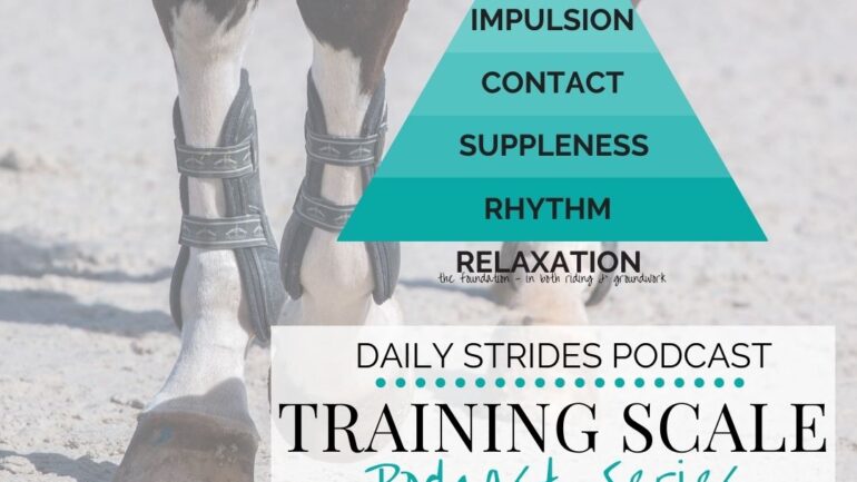 [Training Scale Series] 2. Suppleness in Your Horse