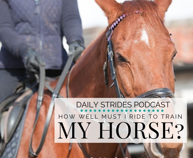 How Well Must I Ride to Train My Horse - Daily Strides Podcast