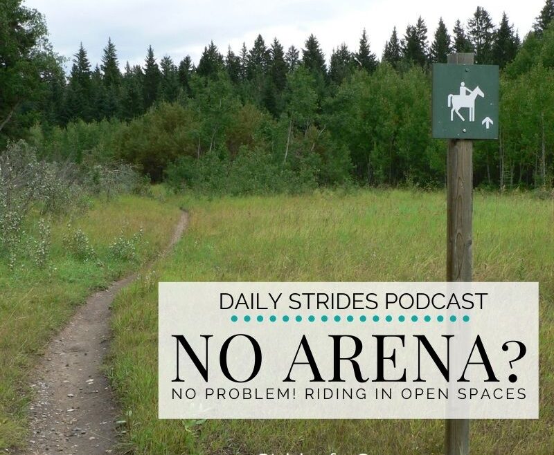 No Arena, No Problem. Riding in Open Spaces