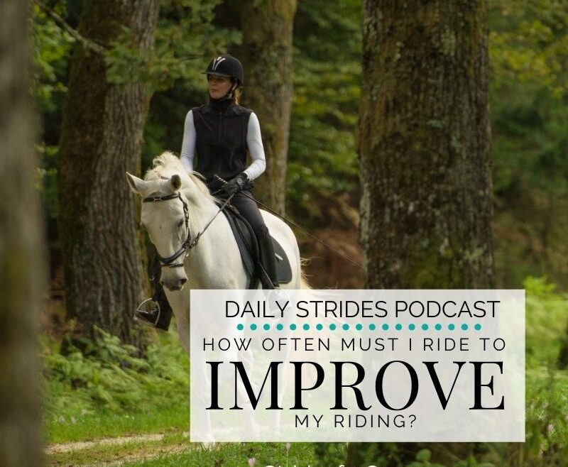 How Often Must I Ride to Improve My Riding?