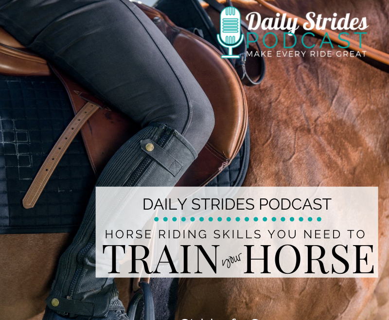 1216 - Horse Riding Skills You Must Develop to Successfully Train Your Horse