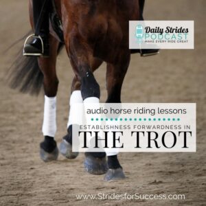 1225 Establishing Forwardness in the Trot