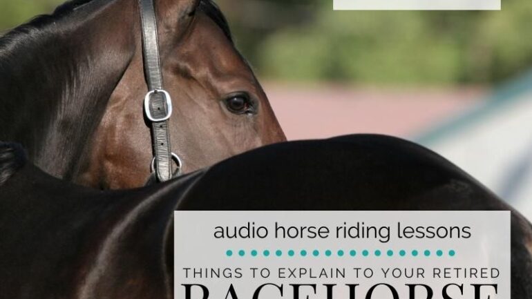 4 Things You MUST Re-Train with Your Retired Racehorse OTTB