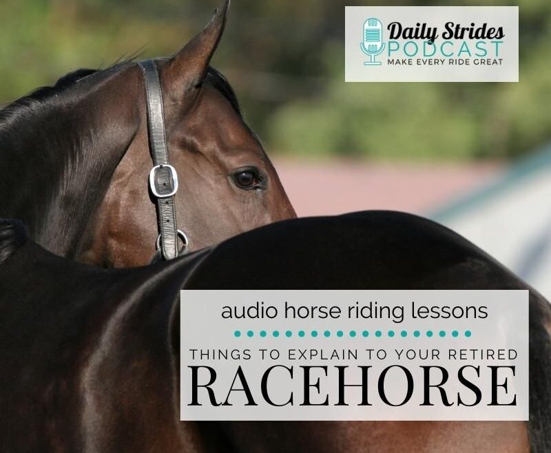 4 Things You Must Explain to Your Retired Racehorse
