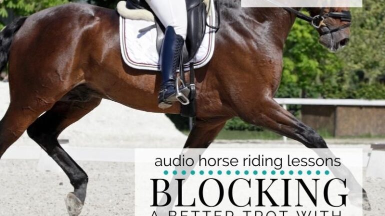 Are You Blocking a Better Trot with Your Seat?