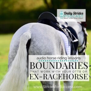 1227 Boundaries You Must Communicate with Your OTTB / ex-racehorse