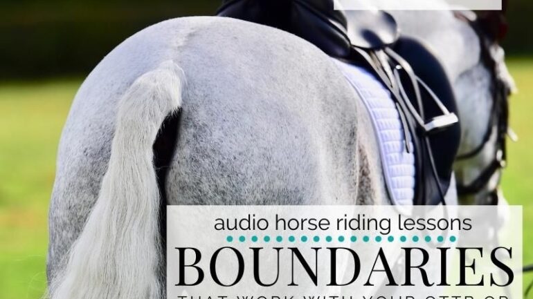 Setting Boundaries that Work with Your OTTB