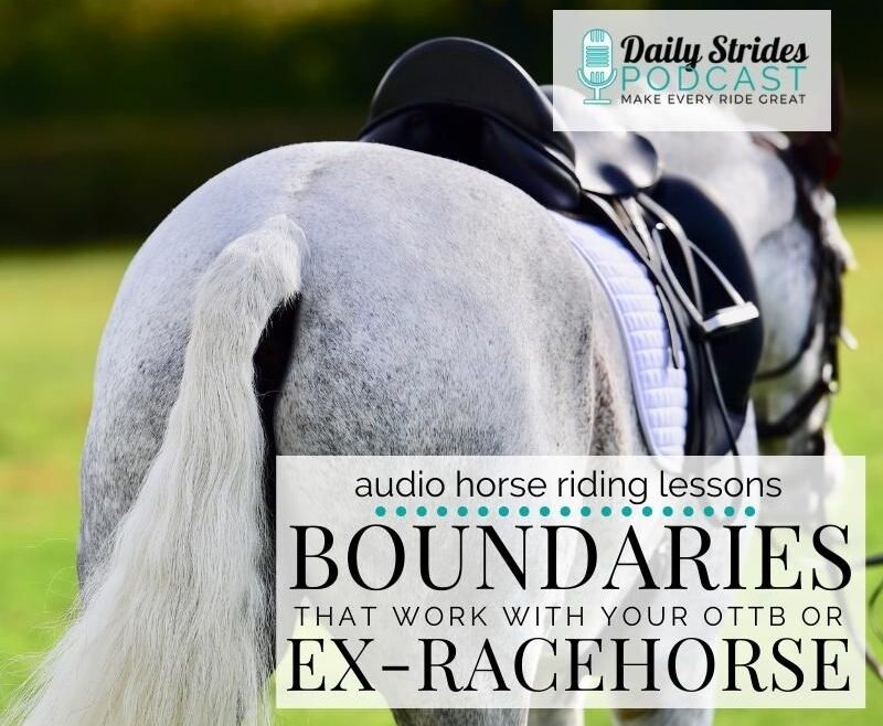 1227 Boundaries You Must Communicate with Your OTTB / ex-racehorse