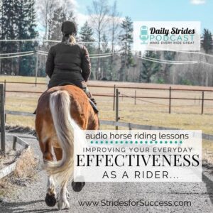 1229 Improving Your Effectiveness as a Rider