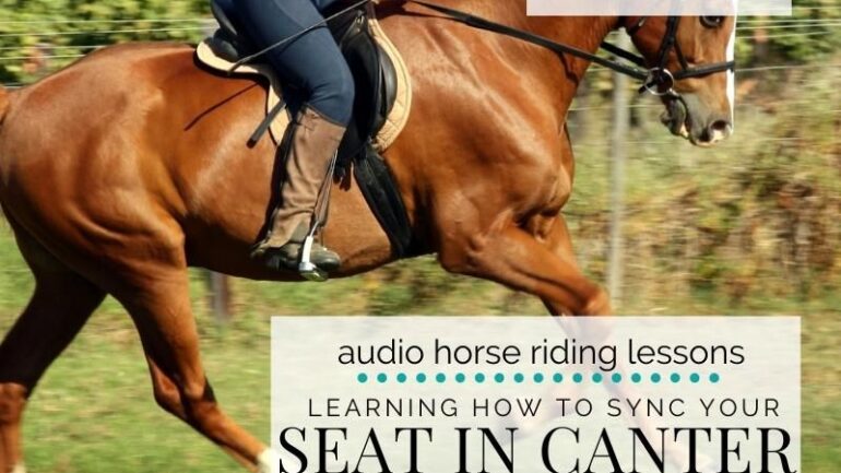 Syncing Your Seat in the Canter with Your Horse