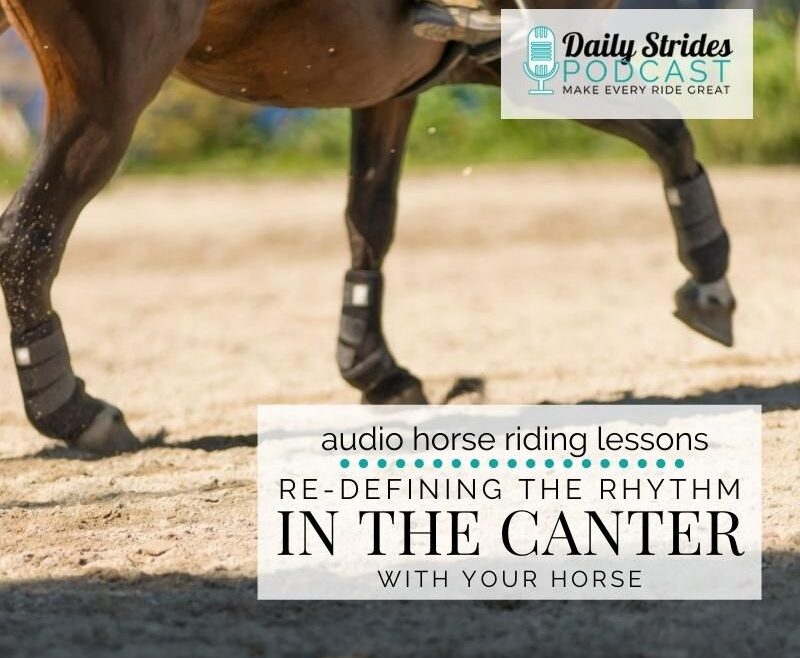 1233 Re-Defining the Rhythm in Canter with Your Horse