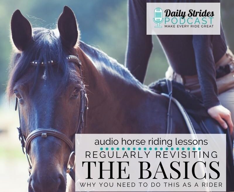 1236 Regularly Revisiting the Basics; Why You NEED to Do This as a Rider