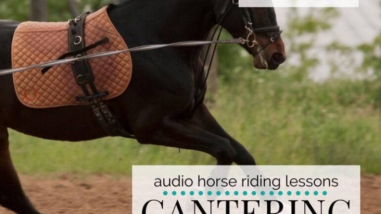 Cantering on the Lunge? Here’s How to Make it Work…