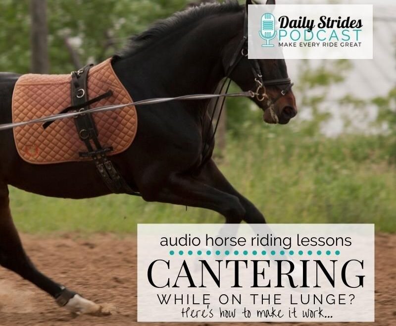 1237 Cantering on the Lunge_ Here's How to Make it Work