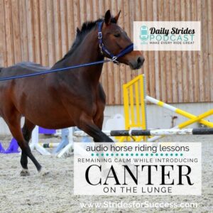 1235 Calmly Introducing Canter on the Lunge