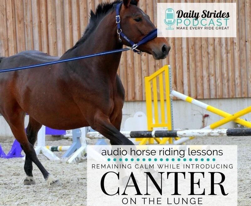 1235 Calmly Introducing Canter on the Lunge