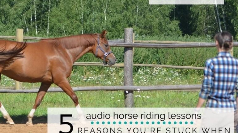 5 Reasons You’re Stuck when Training or Retraining Your Horse
