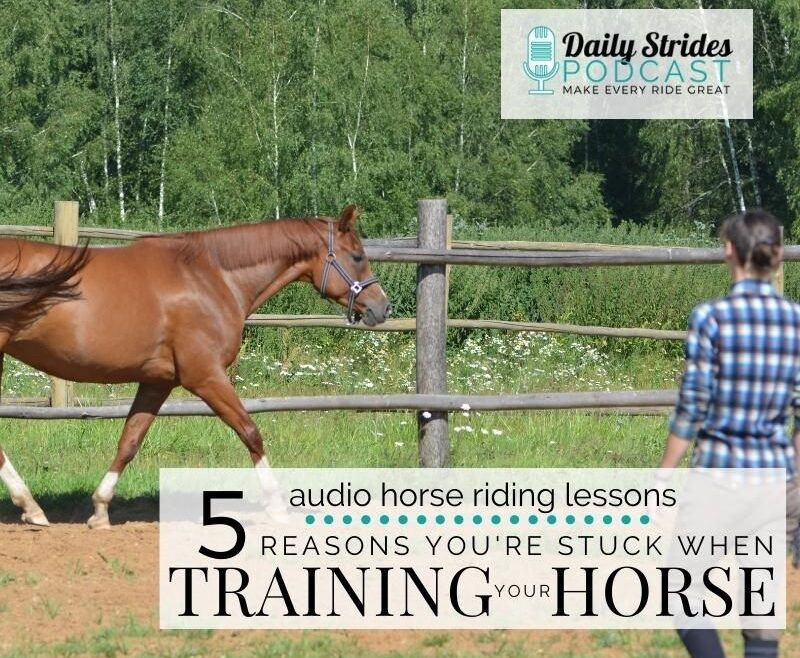 1242 5 Reasons You're Stuck when Training or Retraining Your Horse