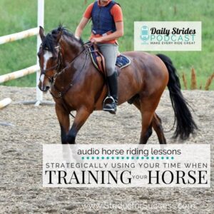 1243 Strategically Using Your Time to Train Your Horse