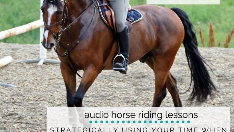 Strategically Using Your Time when Training or Retraining Your Horse