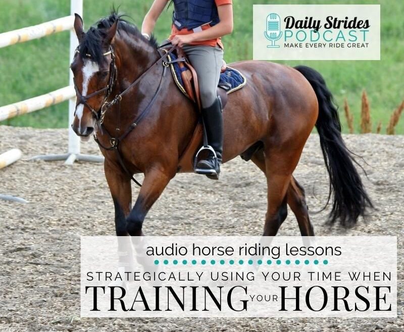 1243 Strategically Using Your Time to Train Your Horse