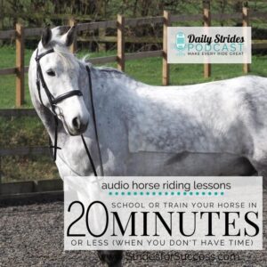 1245 Train Your Horse in Twenty Minutes or Less