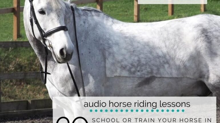 Train Your Horse in Twenty Minutes or Less