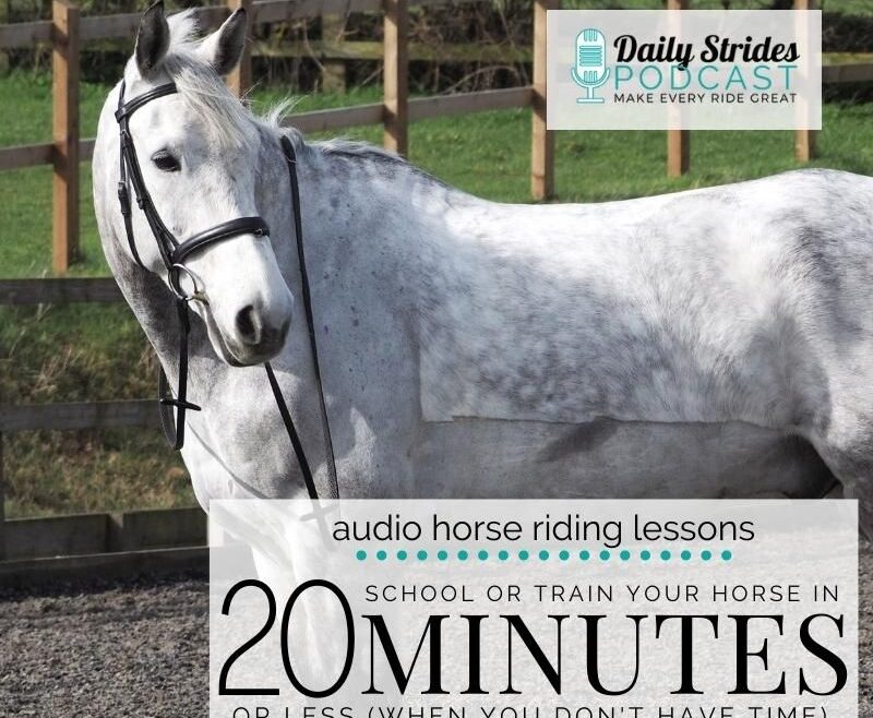 1245 Train Your Horse in Twenty Minutes or Less