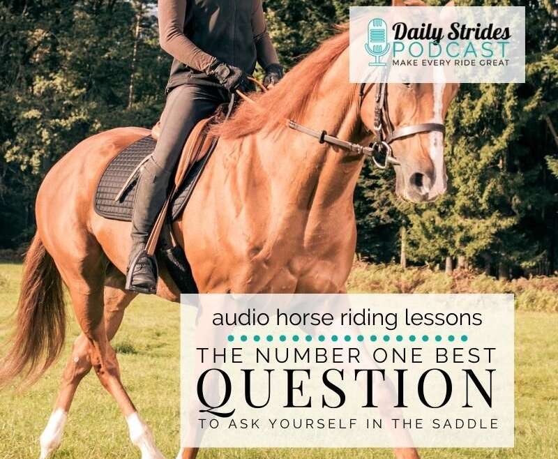 1247 The Best Question to Ask Yourself when You're in the Saddle