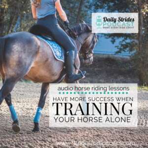 How Get More if Training Your Horse Alone - Strides for Success