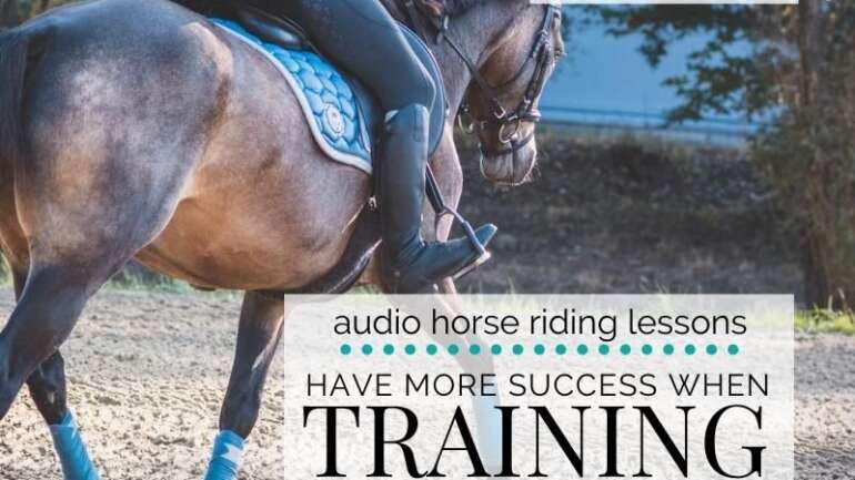 Have More Success When Training Your Horse Alone